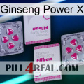 Ginseng Power X 33